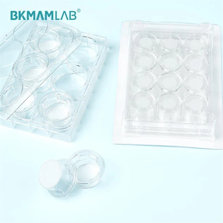 Cell Culture Inserts