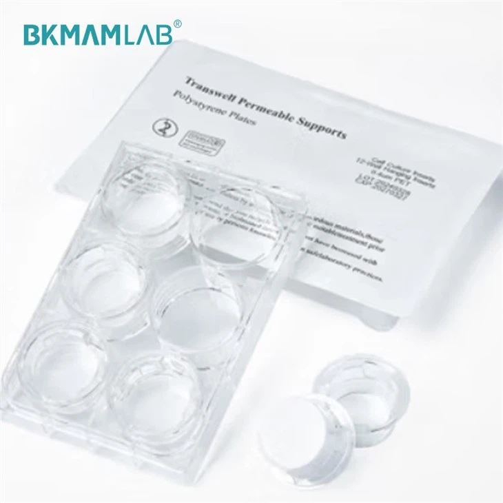 Cell Culture Inserts