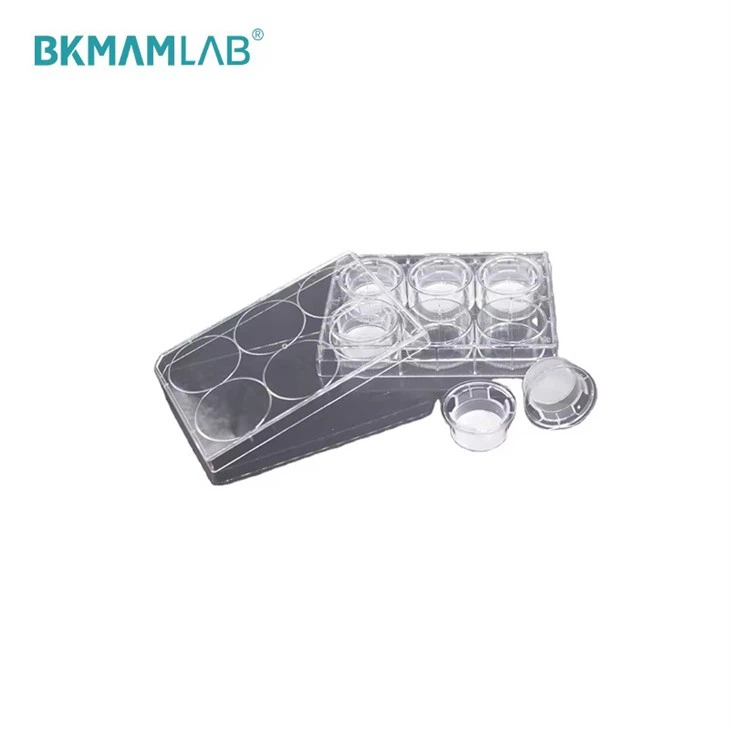 Cell Culture Inserts
