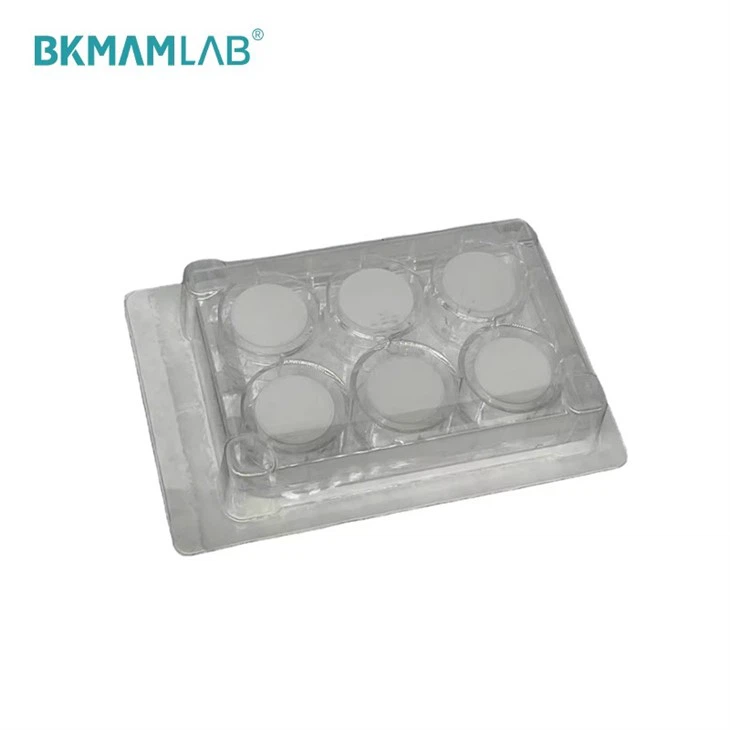 Cell Culture Inserts