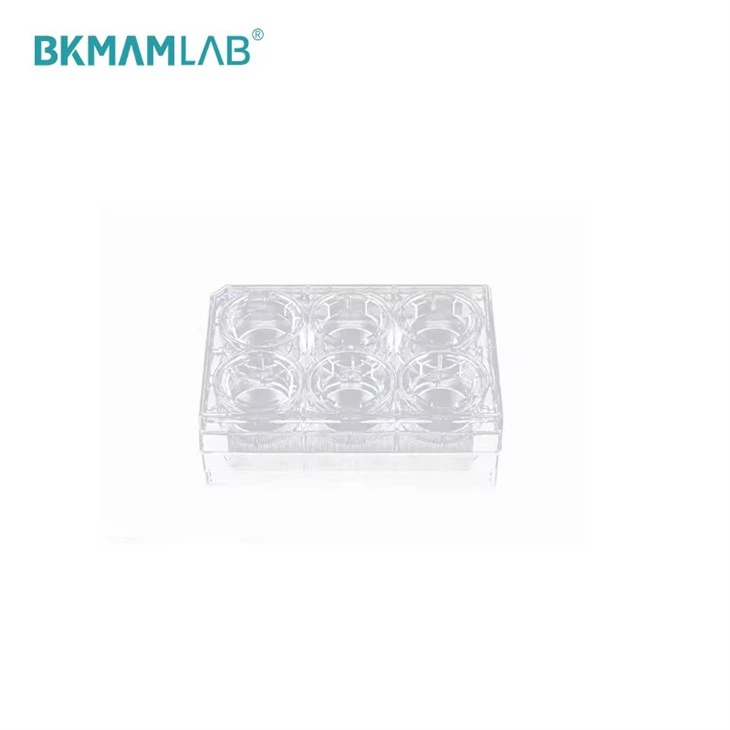 Cell Culture Inserts